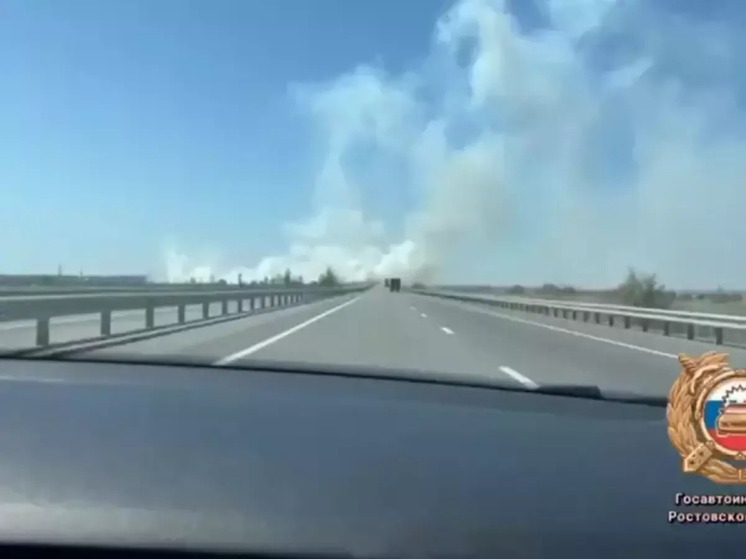Под Азовом на трассе спустя 14 часов потушили крупный пожар