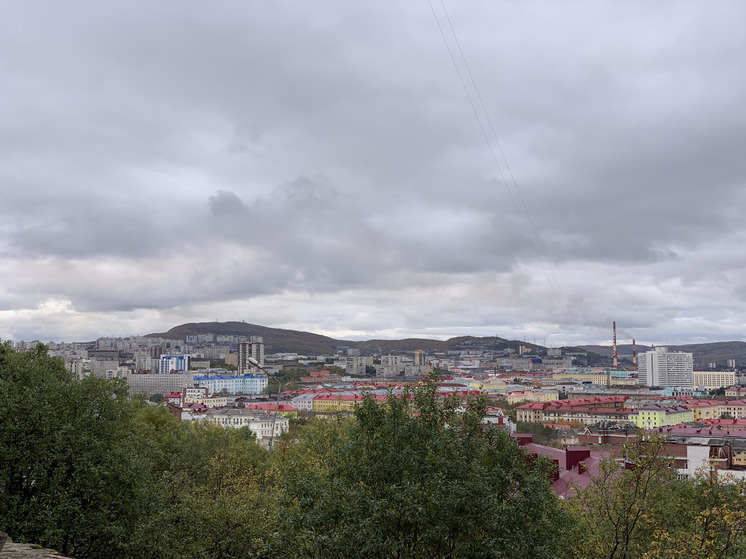Мурманский морской торговый порт успешно прошел проверку Росприроднадзора