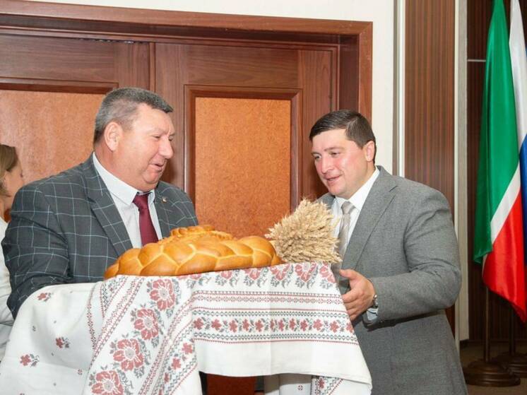 Нижнекамский район вторым в Татарстане завершил уборку зерна