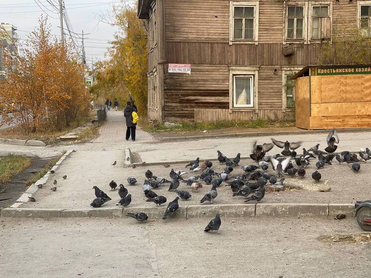 Более 4,6 тысячи жителей Якутии получат новое жильё до конца года