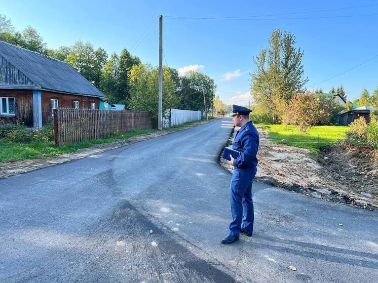 Прокуратура добилась ремонта разбитой дороги в Износках