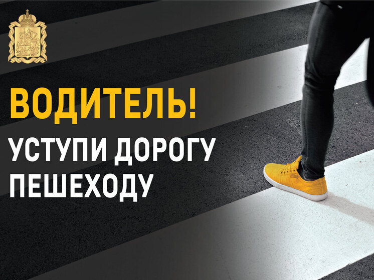 Серпуховская Госавтоинспекция усиливает контроль за безопасностью пешеходов