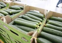 Создание сельскохозяйственных кооперативов в Краснодарском крае является одним из приоритетных направлений в развитии аграрного сектора экономики