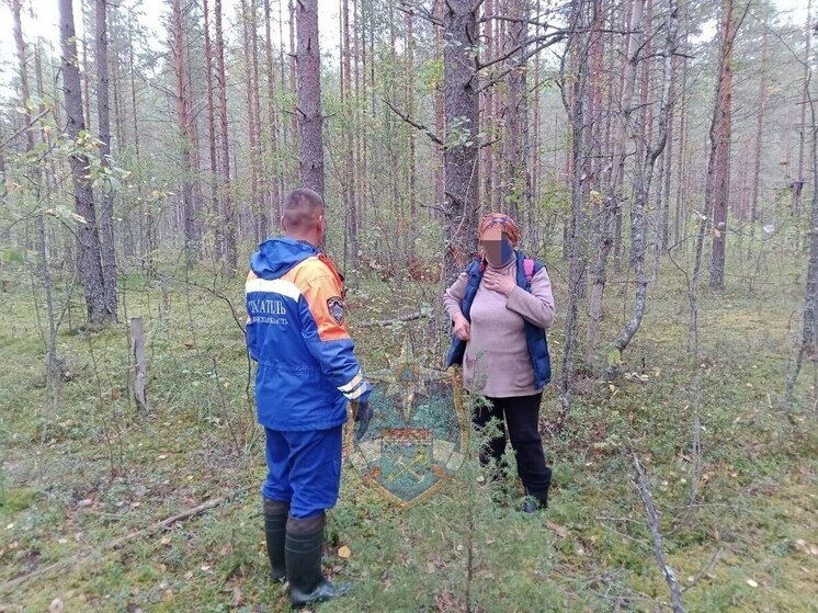 В Лодейнопольском районе спасатели искали пожилую женщину