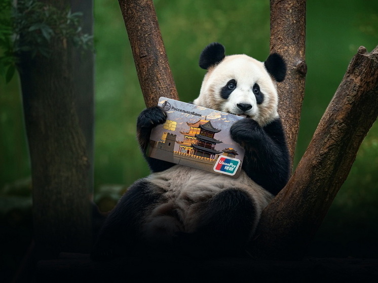 UnionPay: россияне переключаются с Запада на Китай и Юго-Восточную Азию