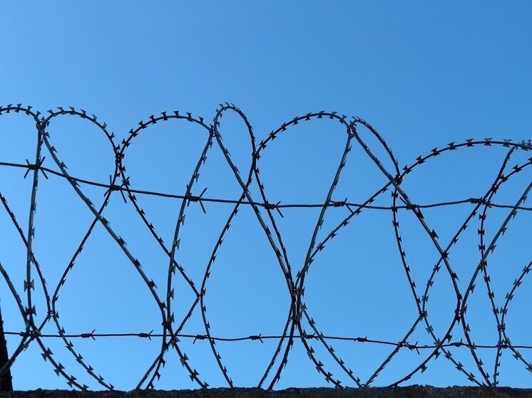 Чистюля из Петербурга получил 3,5 года «строгача» за кражу освежителей воздуха