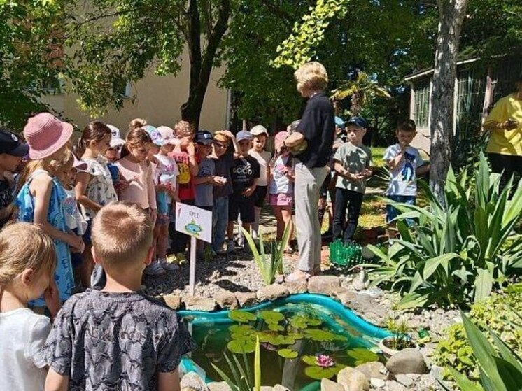 В Сочи открыты еще два школьных агропарка