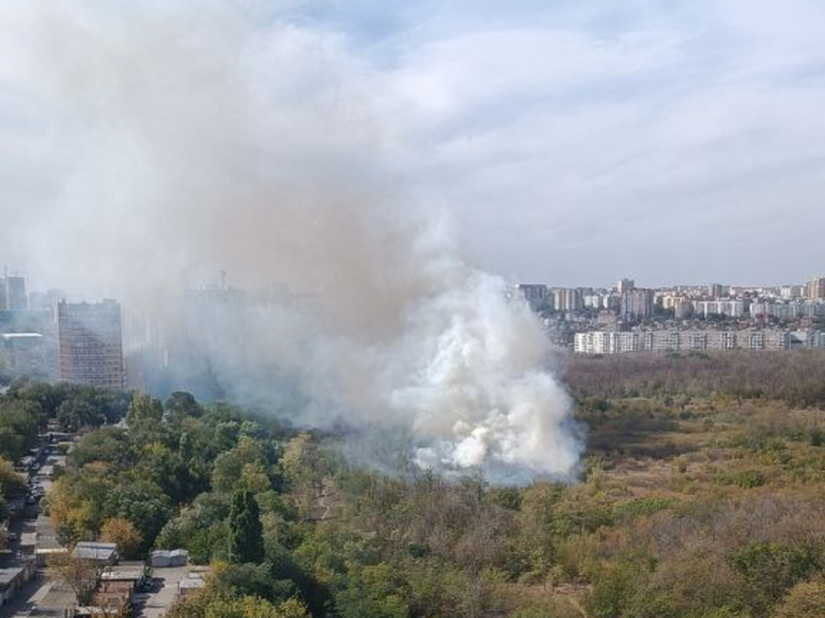 Пожар в роще Первомайского района Ростова потушили