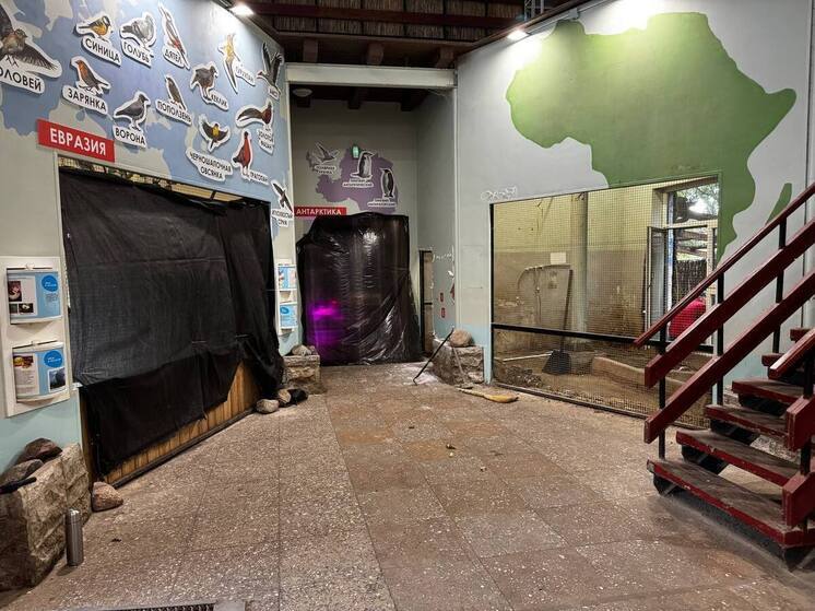 В Калининграде крокодилы переезжают в Дом птиц