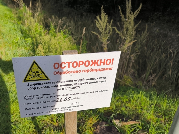 В Ярославле запретили сбор грибов в местах обработки от борщевика