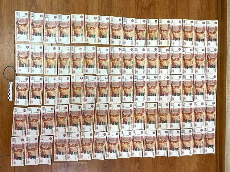 Жительница Мурома осуждена за хищение миллионов из бюджета на фальшивые гранты