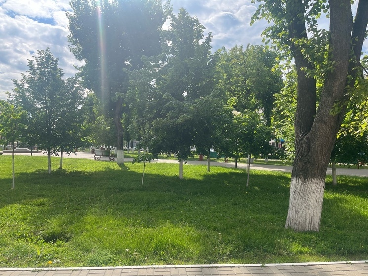 В Ливнах прошла промежуточная приёмка общественной территории на улице Мира