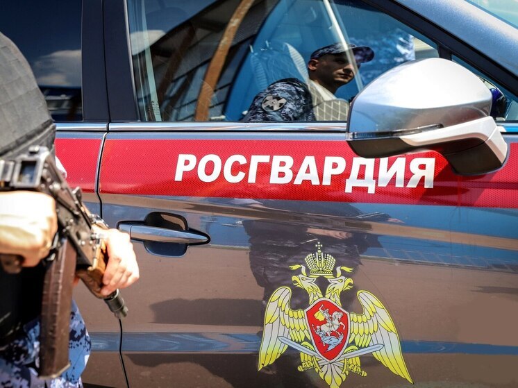 Росгвардейцы за неделю пресекли ряд правонарушений в Крыму и Севастополе
