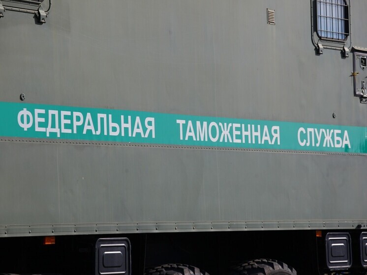 В Челябинской области через госграницу не дали провезти 18 тонн мандаринов