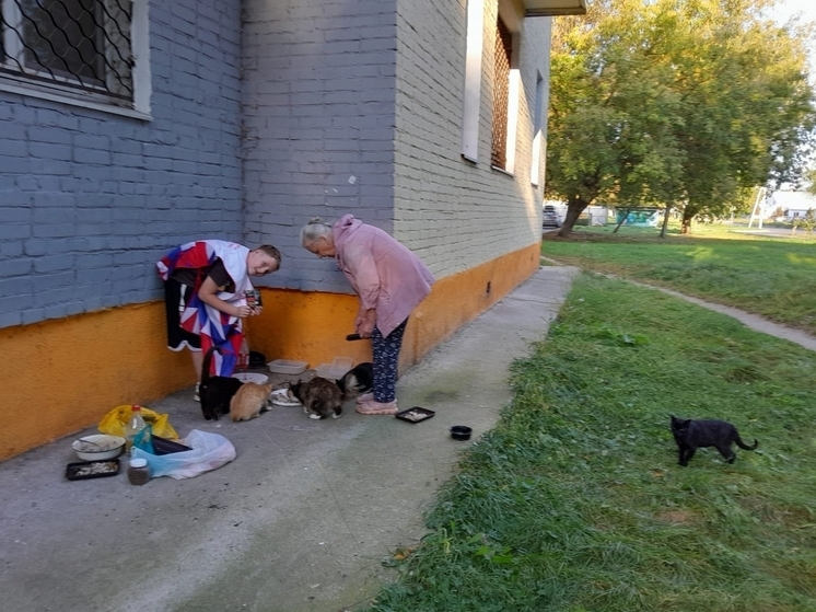 Серпуховичи помогают бездомным животным