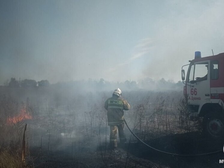 Пожары в природных зонах ЛНР не сдают своих позиций