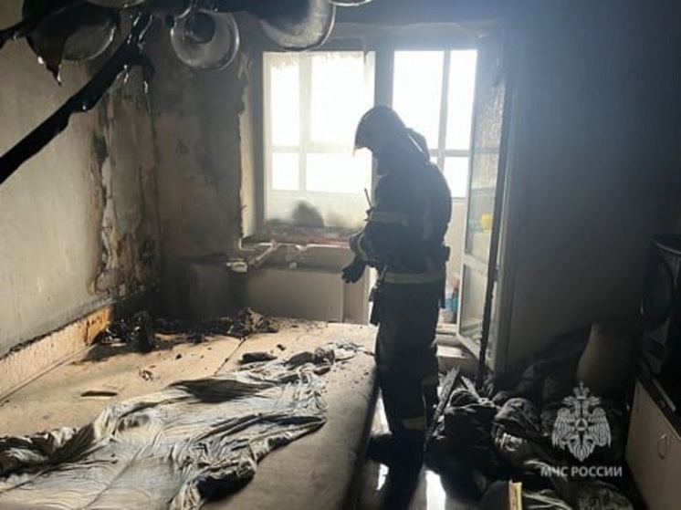 Красноярские спасатели ликвидировали девять возгораний за сутки, есть погибший