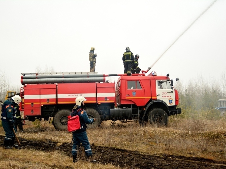 После падения беспилотника в Воронежской области загорелась трава