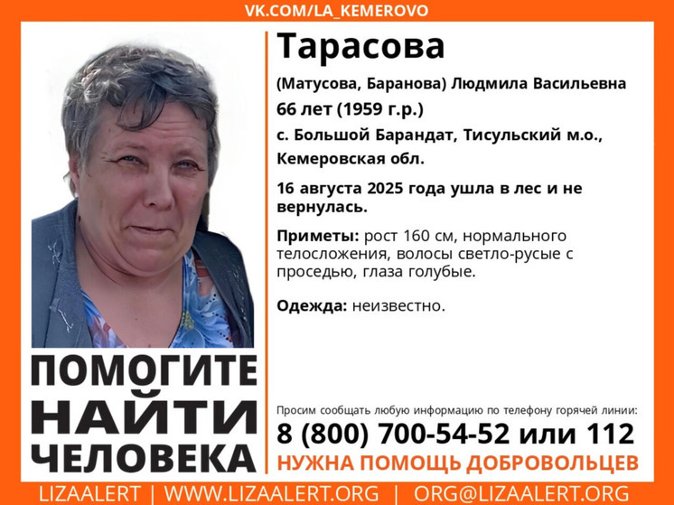 Жительница Кузбасса пропала без вести в лесу