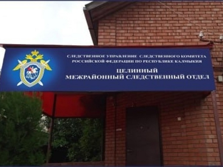 Элистинку подозревают в даче взятки должностному лицу