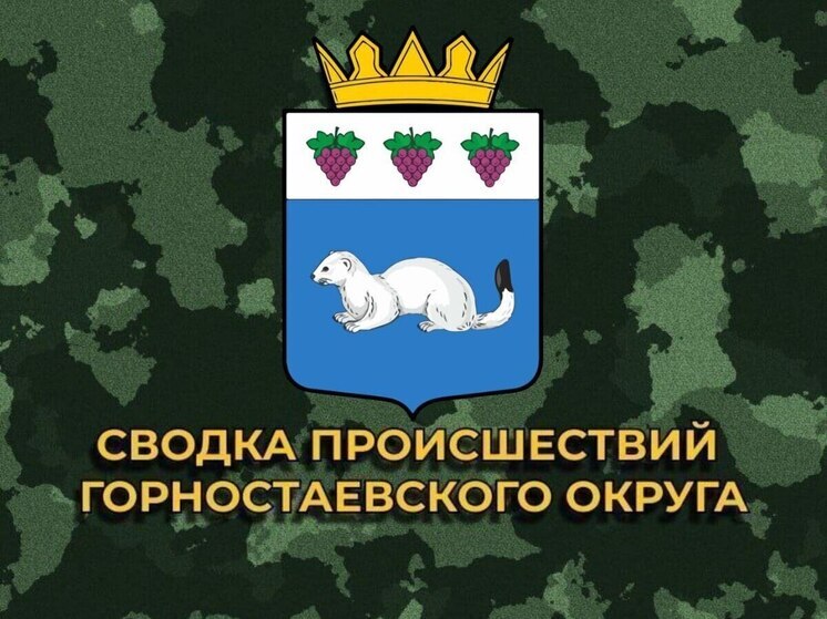 За минувшие сутки ВСУ 38 раз обстреляли Горностаевский муниципальный округ