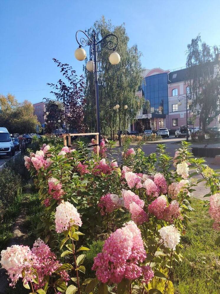 В Калуге высадили более 5 000 новых растений