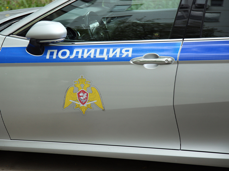 Гражданин Шри-Ланки задержан за приставания к ребенку в Москве