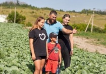 Олег Башкатов занимается выращиванием овощей не только ради прибыли, но и чтобы помочь обеспечить продовольственную безопасность страны
