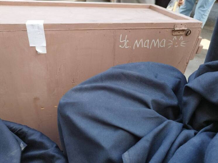 "Мою усатую маму" везут артисты Луганского академического театра на Мурманский международный фестиваль