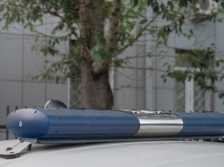 В новосибирском СИЗО найден мертвым обвиняемый в расправе над 9-летней девочкой