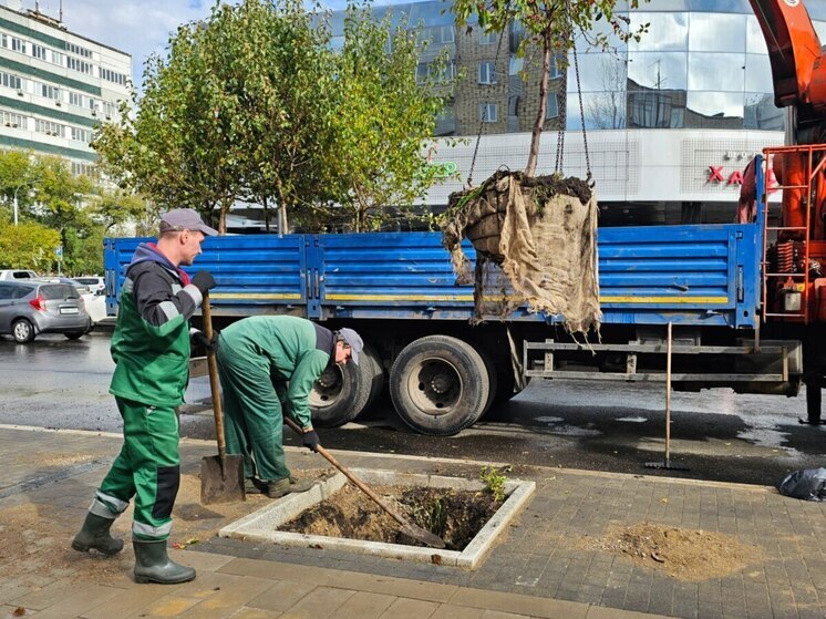 В историческом центре Красноярска завершают озеленение поперечных улиц