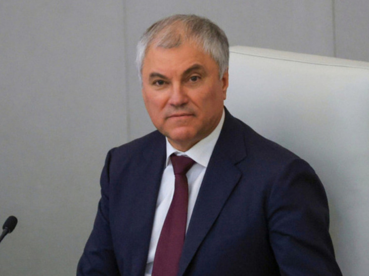 Володин призвал чиновников прекратить отдыхать за границей