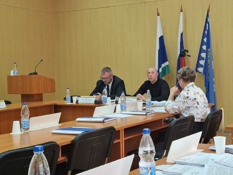 Депутаты назвали причины неявки на заседание по выборам главы Режа: доение коровы, встреча с адвокатом и простуда после отдыха на природе