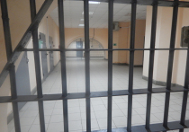Госдума в среду единогласно денонсировала Европейскую конвенцию по предупреждению пыток