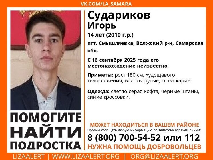 В Волжском районе Самарской области пропал 14-летний Игорь Судариков