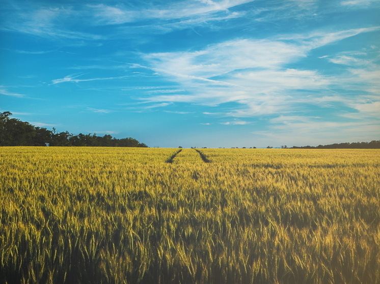 В Марий Эл определено еще семь участков земли для турбизнеса