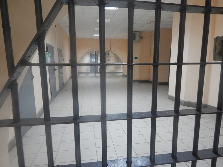 Наблюдателей из ЕС больше не будут пускать в российские тюрьмы