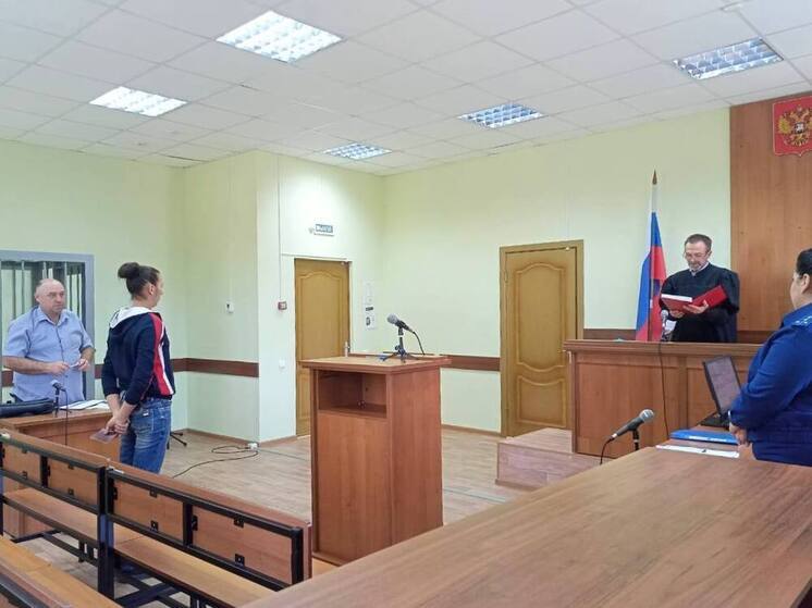 Долг в полтора миллиона: алиментщица из Староюрьевского района отправилась под суд