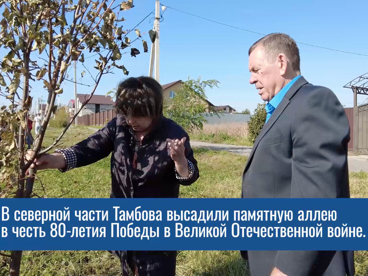 Тамбовчане посадили 80 деревьев в честь юбилея Великой Победы