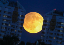 18 сентября 2025 года Луна находится в убывающей фазе в знаке Льва, что привносит в день яркую, творческую и энергичную атмосферу. Это время подходит для самовыражения, завершения дел и работы над внутренним равновесием. Убывающая Луна во Льве побуждает к проявлению лидерских качеств, но также требует избегать эгоцентризма и чрезмерной импульсивности. .