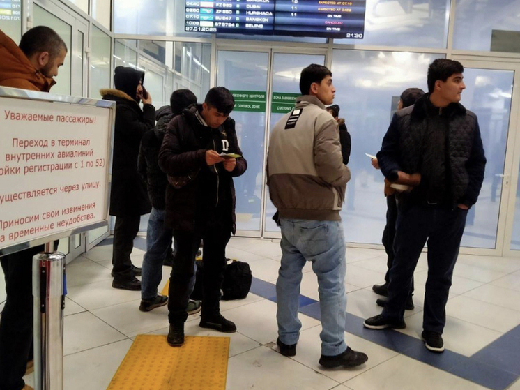 В Новосибирске менее 3 тысяч мигрантов оформили легальный статус по президентскому указу