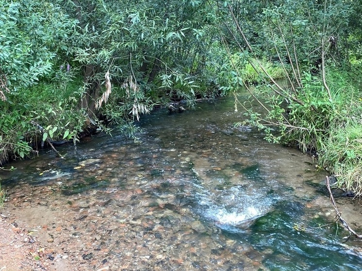 В республике продолжается реализация проекта «Родники Чувашии»