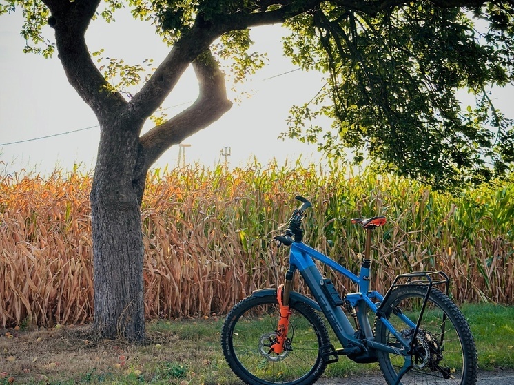 Преимущественно без осадков и до +21°C.: погода в Томске на 18 сентября