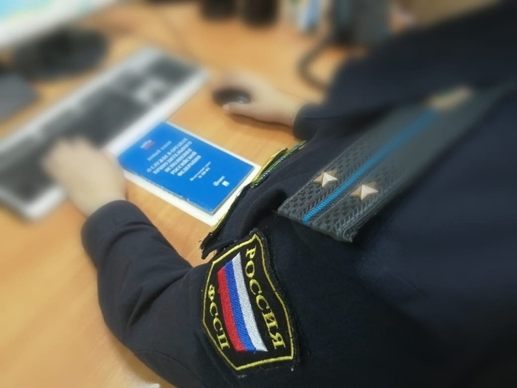 В Барнауле с СНТ взыскали 250 тысяч рублей по долгам за электричество