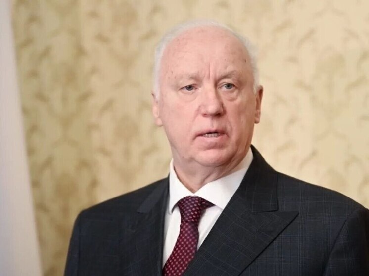 Бастрыкин взял на контроль проверку угроз директору школы в Хабаровске