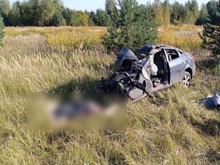 Двое погибли и шестеро пострадали в лобовом столкновении с автобусом "Владимир-Радужный"