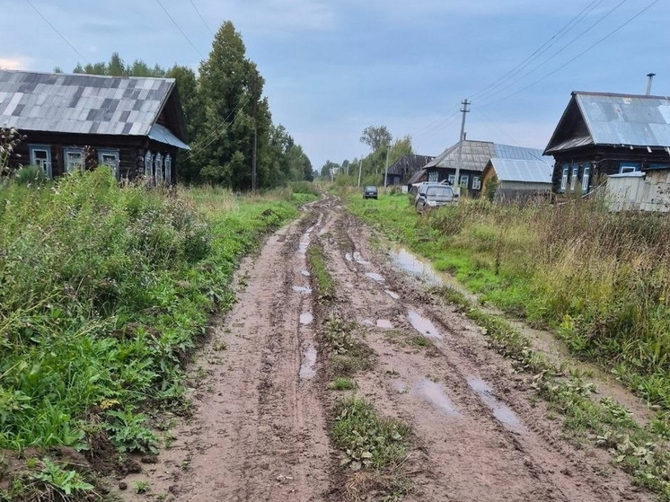 Состояние дороги в оршанской деревне стало поводом для уголовного дела