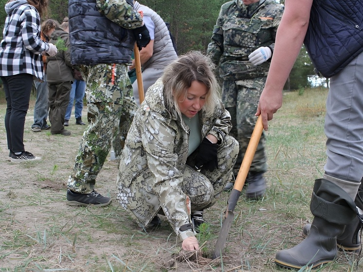 Акция «Сохраним лес», стартовавшая 3 сентября, направлена на восстановление вырубленных и погибших лесов
