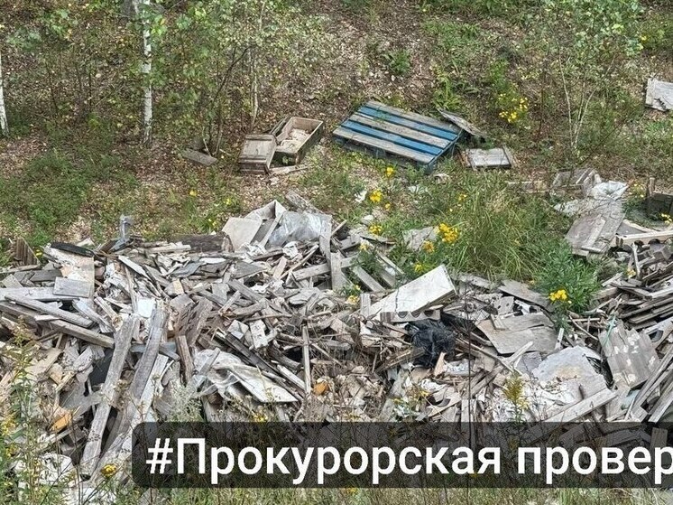 В Туле по требованию прокуратуры устранят несанкционированные свалки