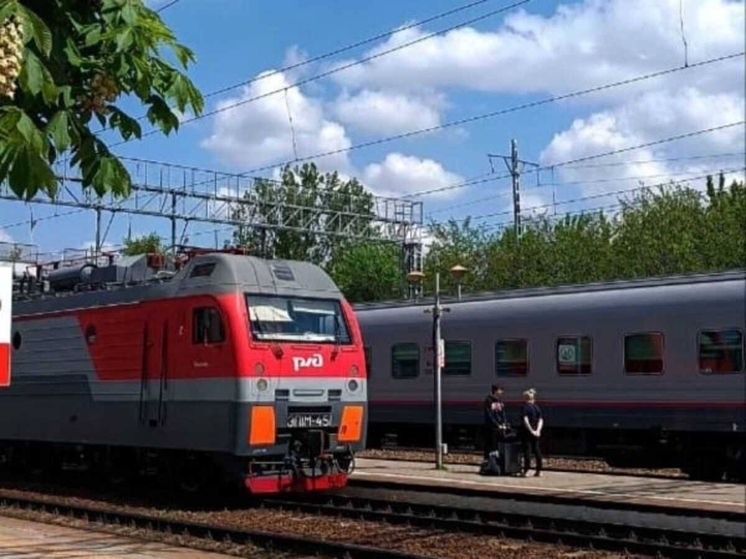 Из Ростова-на-Дону в Москву можно будет добраться на поезде всего за четыре часа